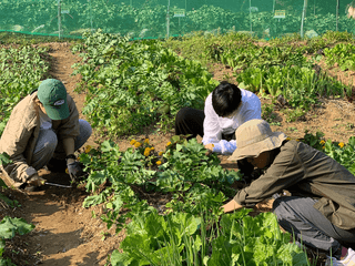 퍼머컬처농부님의 자유주제 · 자유게시판 작성글 사진