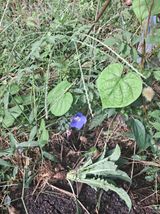 팜모닝 자유주제·자유게시판 게시글 이미지