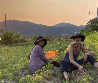 퍼머컬처농부님의 자유주제 · 자유게시판 작성글 사진