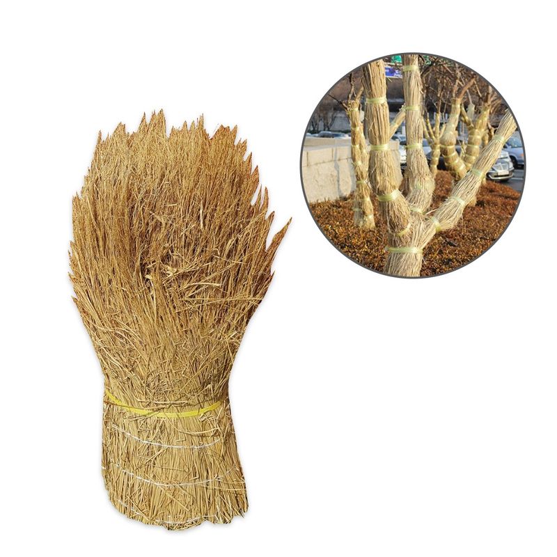 장터 상품 [이엉 70cm x 10M 겨울철 방풍막 나무 월동준비 수목보온 지푸라기 볏짚 월동자재] 썸네일