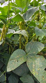 팜모닝 자유주제·자유게시판 게시글 이미지