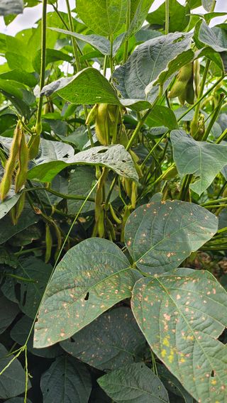 시아님의 자유주제 · 자유게시판 작성글 사진