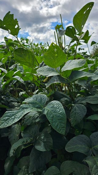 시아님의 자유주제 · 자유게시판 작성글 사진