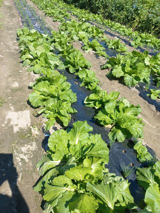 시아님의 자유주제 · 자유게시판 작성글 사진