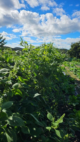 시아님의 자유주제 · 자유게시판 작성글 사진