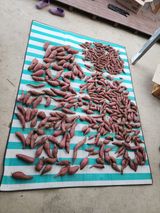 팜모닝 자유주제·자유게시판 게시글 이미지