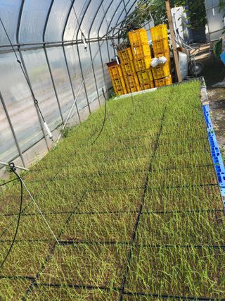 동해리님의 자유주제 · 자유게시판 작성글 사진