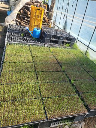 동해리님의 자유주제 · 자유게시판 작성글 사진