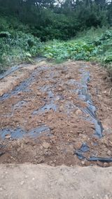 팜모닝 더운 가을, 농사 괜찮으신가요?·참여글 게시글 이미지