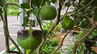 이순철님의 더운 가을, 농사 괜찮으신가요? · 참여글 작성글 사진