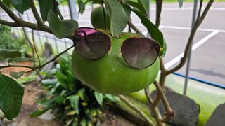 이순철님의 더운 가을, 농사 괜찮으신가요? · 참여글 작성글 사진