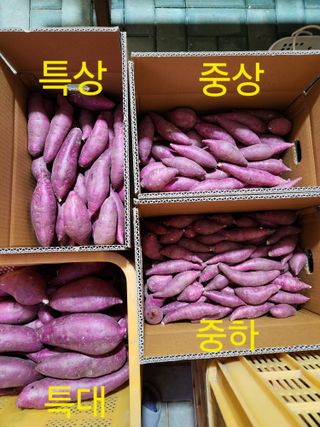 금제섭님의 작성글 사진