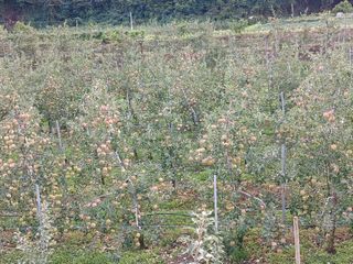 알 수 없음님의 자유주제 · 자유게시판 작성글 사진