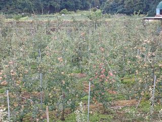 알 수 없음님의 자유주제 · 자유게시판 작성글 사진
