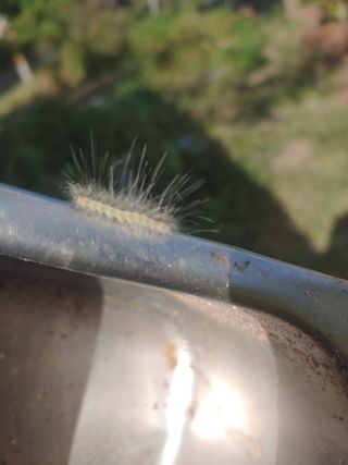 장유경님의 농사, 무엇이든 물어보세요! · 참여글 작성글 사진