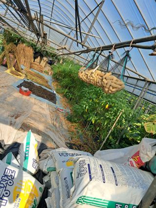 사구실첫집님의 자유주제 · 자유게시판 작성글 사진