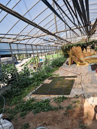 사구실첫집님의 자유주제 · 자유게시판 작성글 사진