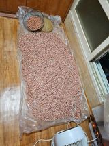 팜모닝 자유주제·사진전 게시글 이미지