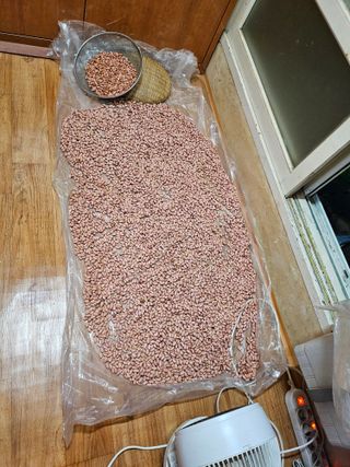 이원복님의 자유주제 · 사진전 작성글 사진