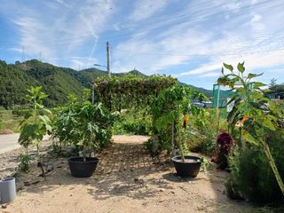 고풍마님님의 자유주제 · 자유게시판 작성글 사진