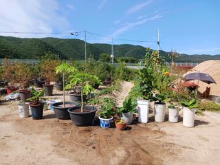 고풍마님님의 자유주제 · 자유게시판 작성글 사진