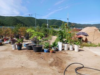 고풍마님님의 자유주제 · 자유게시판 작성글 사진