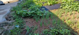 고풍마님님의 자유주제 · 자유게시판 작성글 사진