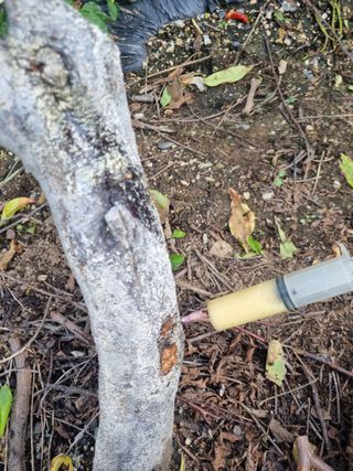 김용대님의 자유주제 · 자유게시판 작성글 사진