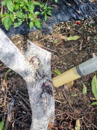 김용대님의 자유주제 · 자유게시판 작성글 사진