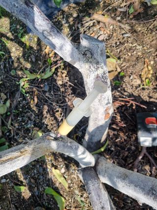 김용대님의 자유주제 · 자유게시판 작성글 사진