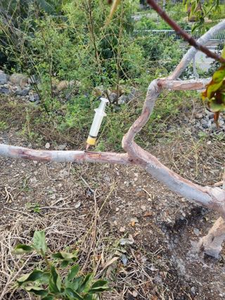 김용대님의 자유주제 · 자유게시판 작성글 사진