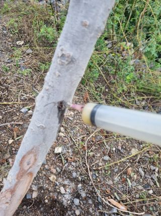 김용대님의 자유주제 · 자유게시판 작성글 사진