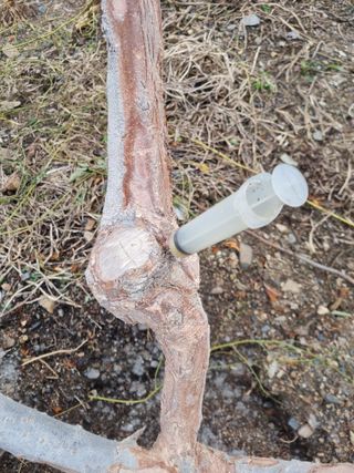 김용대님의 자유주제 · 자유게시판 작성글 사진