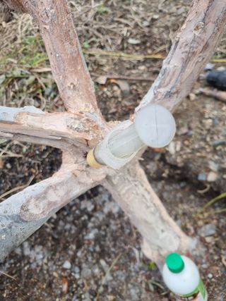 김용대님의 자유주제 · 자유게시판 작성글 사진