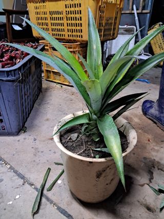 김차식님의 작성글 사진