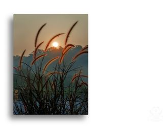 둥이농장(김준태)님의 자유주제 · 자유게시판 작성글 사진