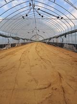 팜모닝 파·영농일지 게시글 이미지