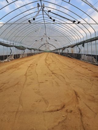 규수김님의 파 · 영농일지 작성글 사진