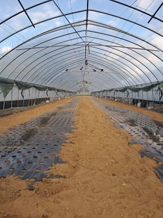 규수김님의 파 · 영농일지 작성글 사진