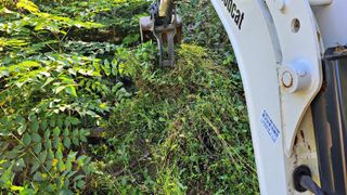 ogapiall님의 기타작물 · 영농일지 작성글 사진