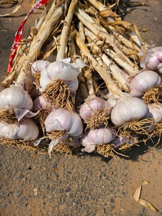 해풍님의 작성글 사진