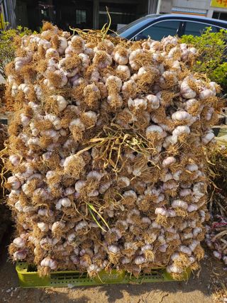 해풍님의 작성글 사진