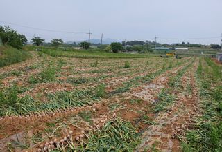 해풍님의 작성글 사진