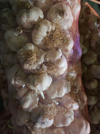 해풍님의 작성글 사진