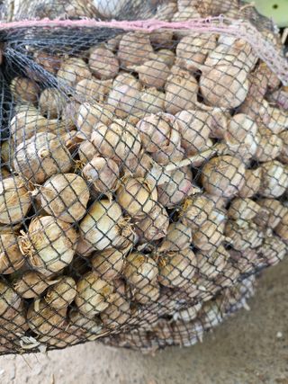 해풍님의 작성글 사진