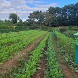 팜모닝 · 게시글 이미지