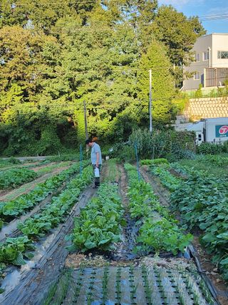 김동일님의 자유주제 · 자유게시판 작성글 사진