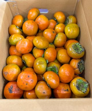 농부손녀님의 작성글 사진