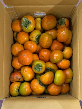 농부손녀님의 작성글 사진