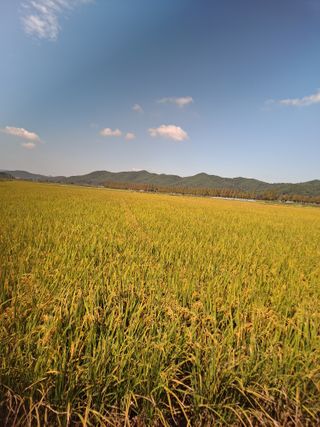 독골농원님의 자유주제 · 자유게시판 작성글 사진